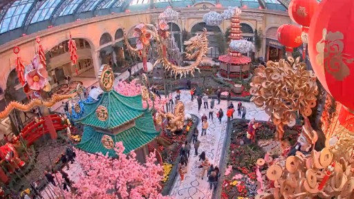 Las Vegas Bellagio Conservatory webcam