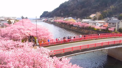 Camara en vivo del rio Kawazu