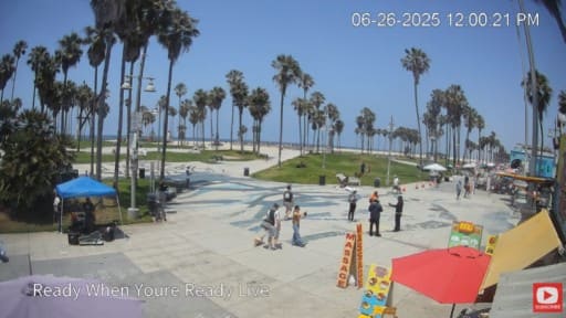 Los Angeles en vivo Venice Beach