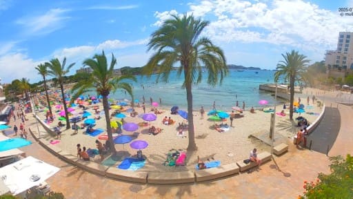 Mallorca en vivo Playa Palmira