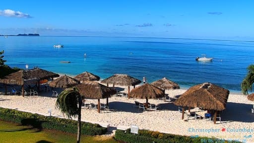 Gran Caimán en vivo Playa Seven Mile